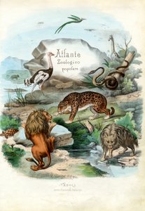 タイトルページ、1863-79